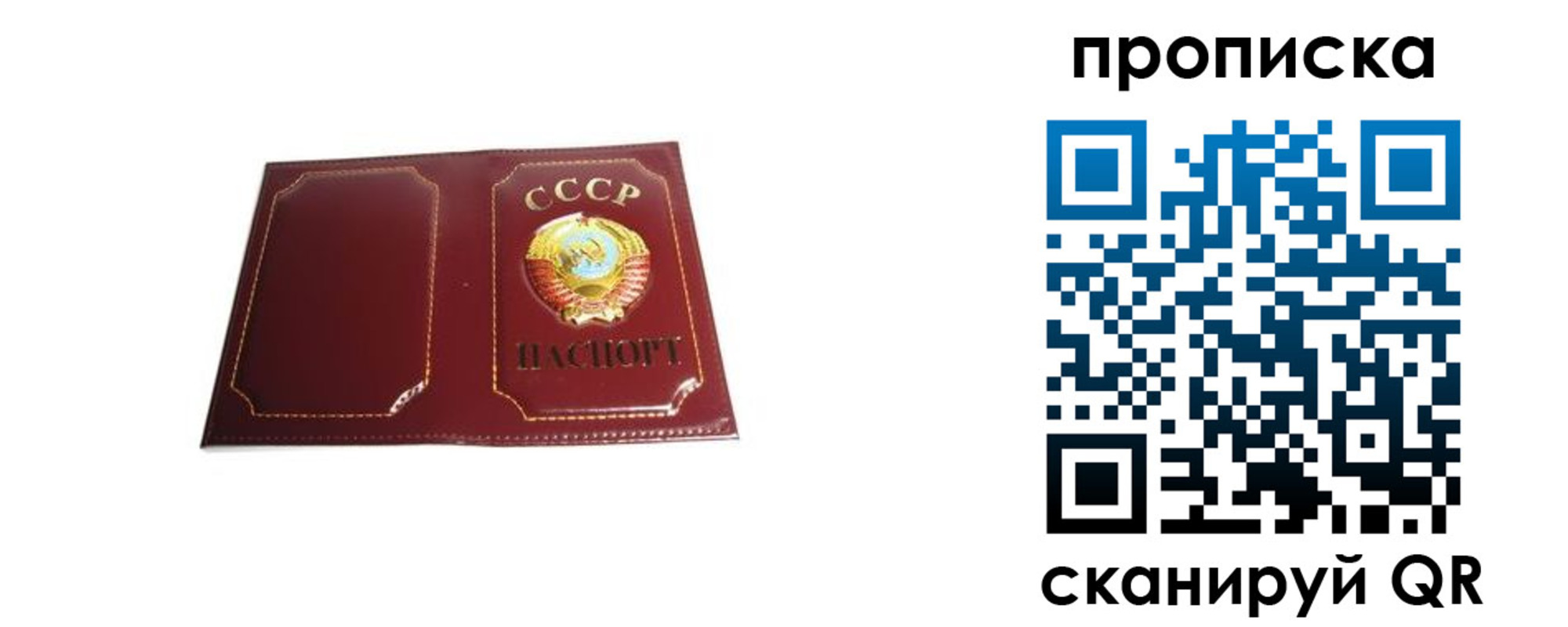 прописка гарантия в Мензелинске